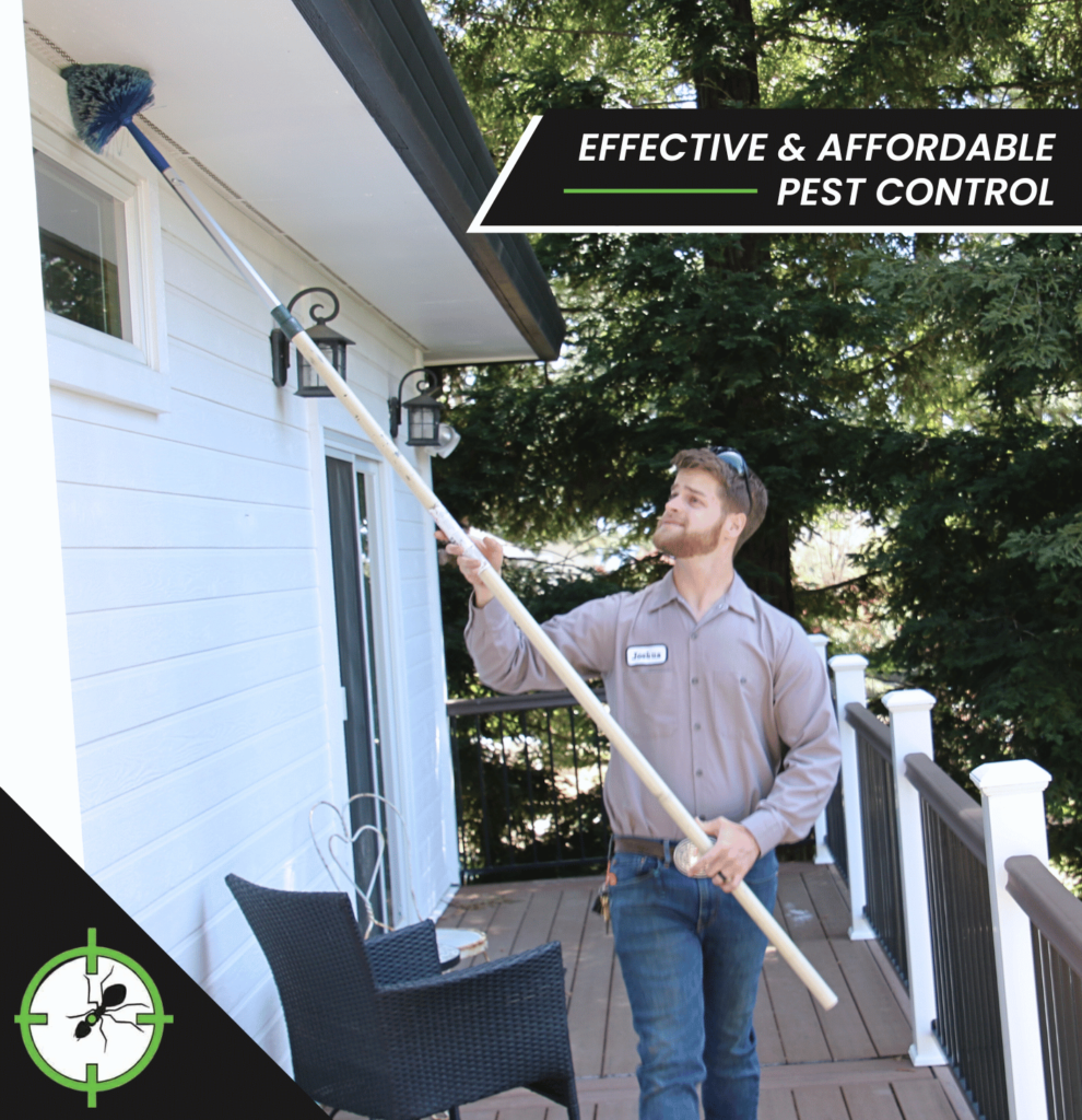 Placerville Pest Control Pestcontrolcenter Com